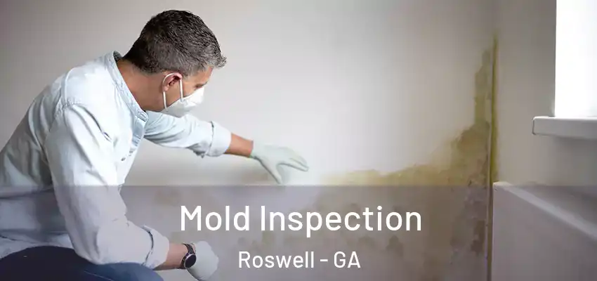 Mold Inspection Roswell - GA