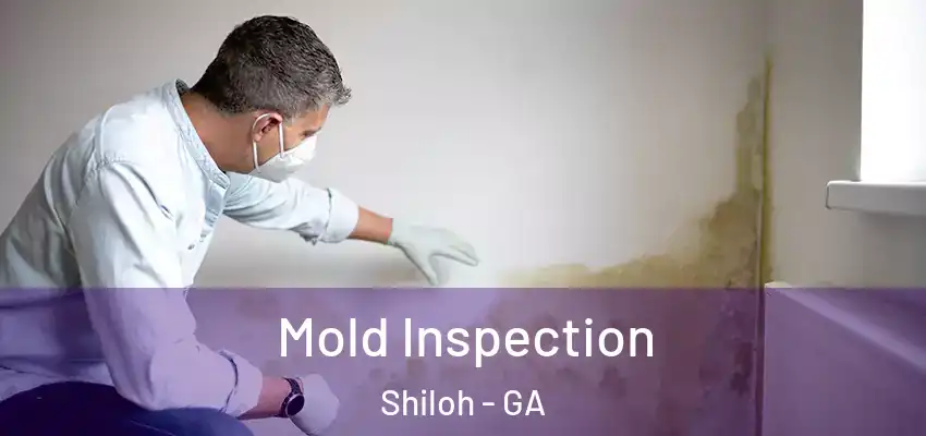 Mold Inspection Shiloh - GA