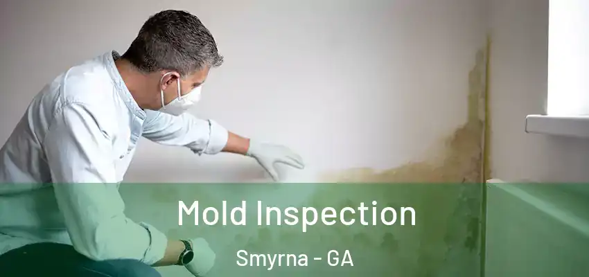  Mold Inspection Smyrna - GA