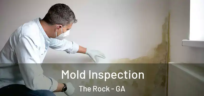 Mold Inspection The Rock - GA