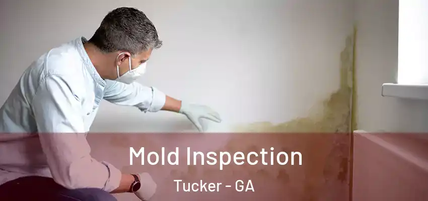 Mold Inspection Tucker - GA