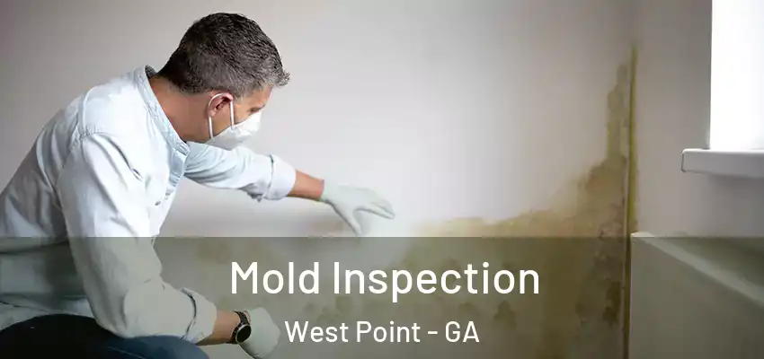 Mold Inspection West Point - GA