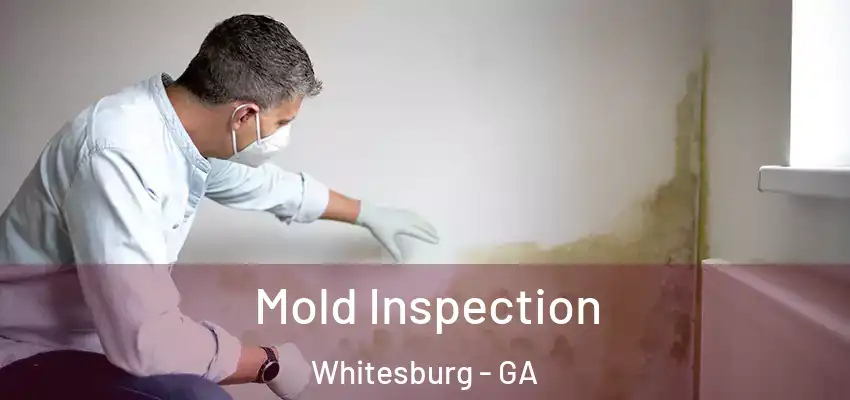 Mold Inspection Whitesburg - GA