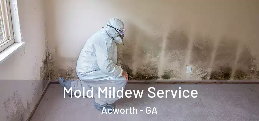  Mold Mildew Service Acworth - GA
