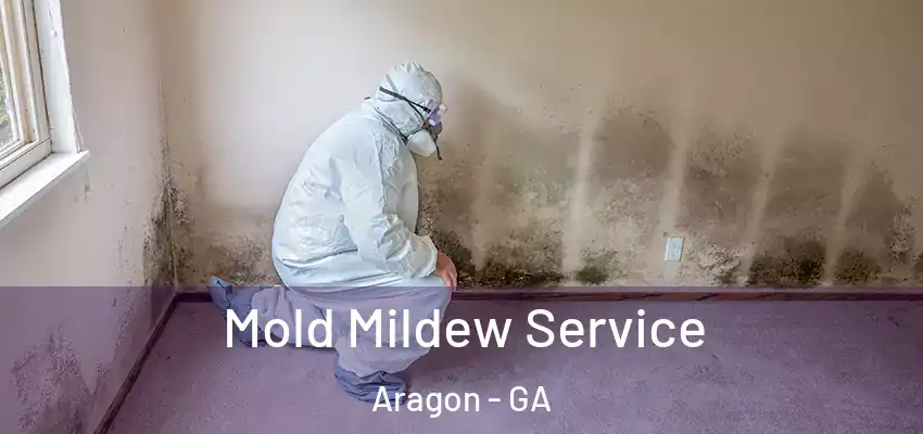 Mold Mildew Service Aragon - GA