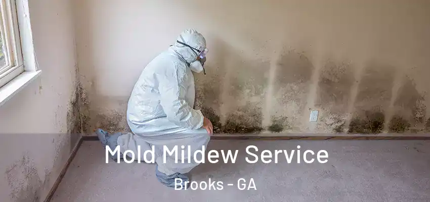  Mold Mildew Service Brooks - GA