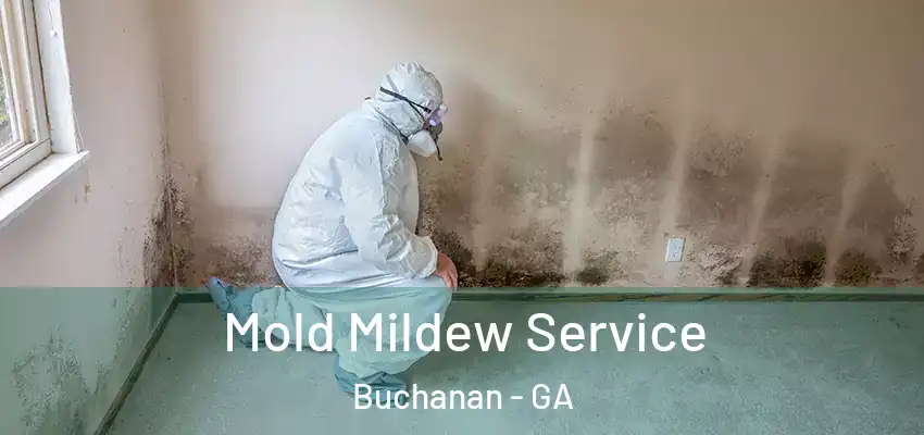 Mold Mildew Service Buchanan - GA