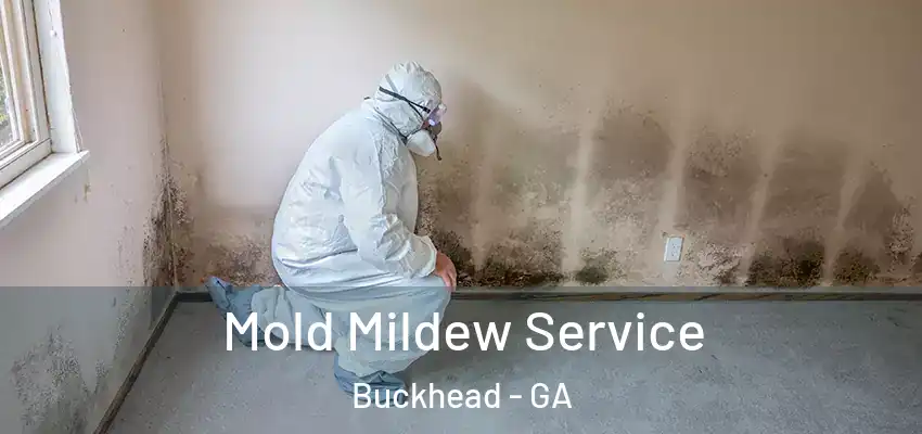 Mold Mildew Service Buckhead - GA