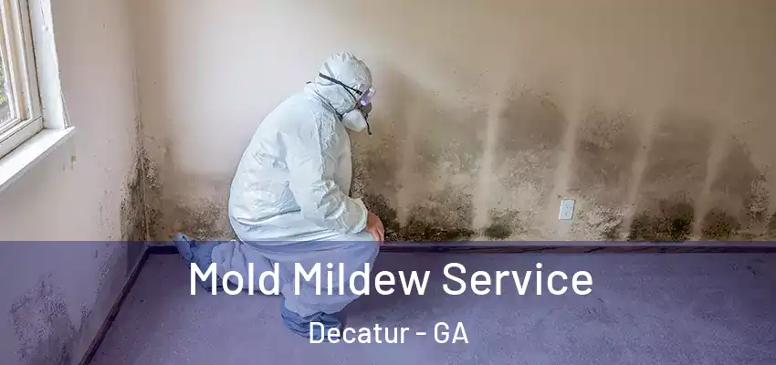 Mold Mildew Service Decatur - GA