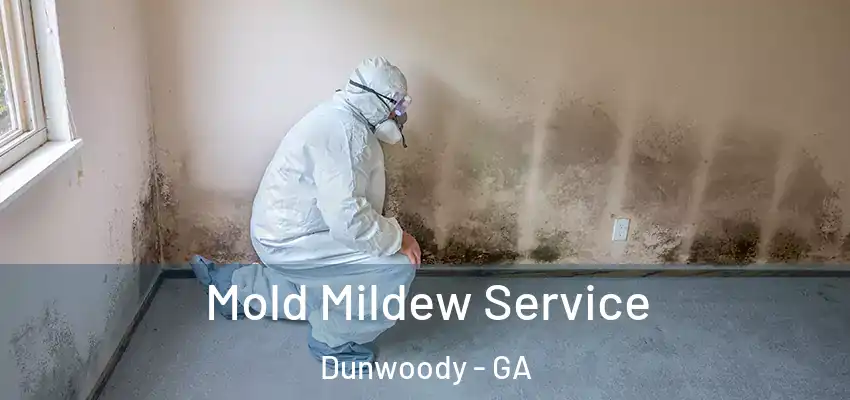Mold Mildew Service Dunwoody - GA