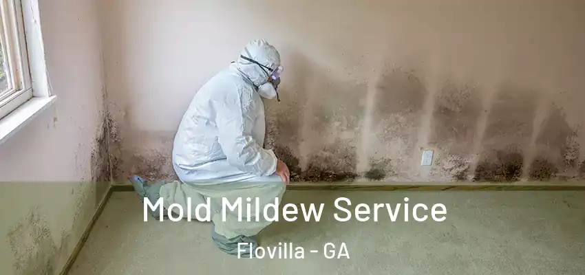 Mold Mildew Service Flovilla - GA