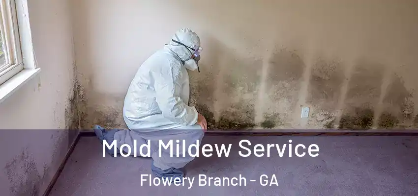 Mold Mildew Service Flowery Branch - GA