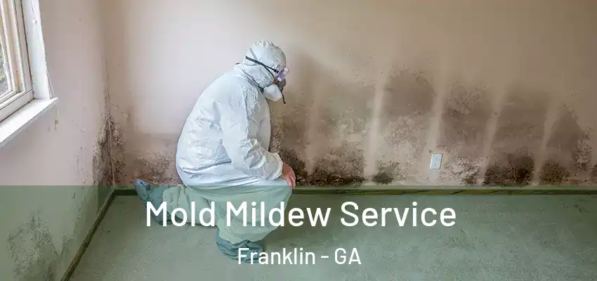 Mold Mildew Service Franklin - GA