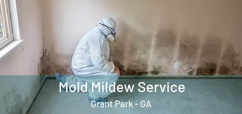 Mold Mildew Service Grant Park - GA