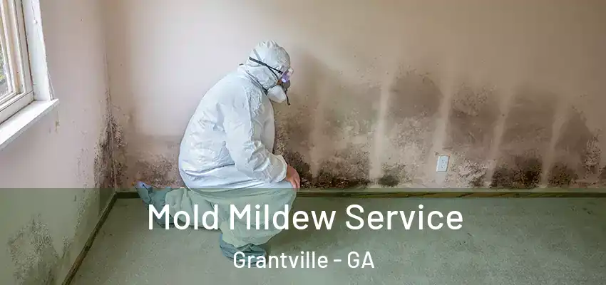  Mold Mildew Service Grantville - GA