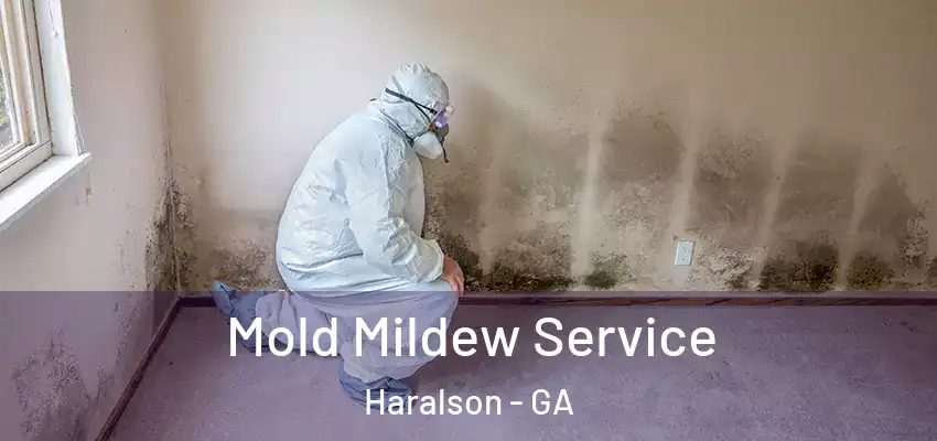 Mold Mildew Service Haralson - GA