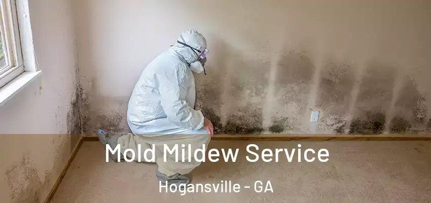  Mold Mildew Service Hogansville - GA
