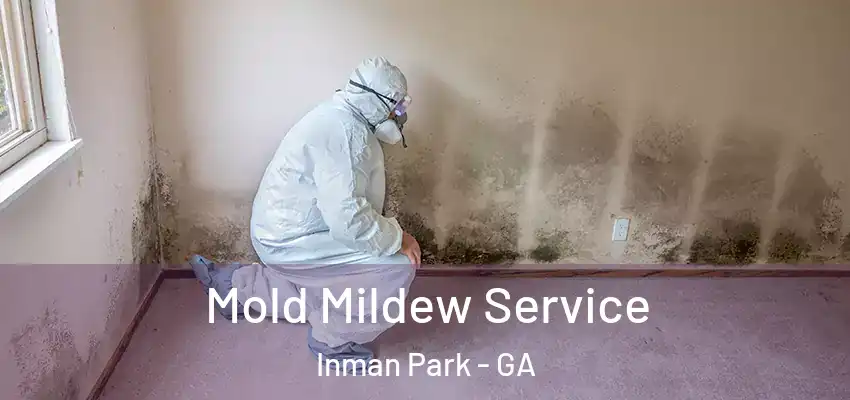 Mold Mildew Service Inman Park - GA