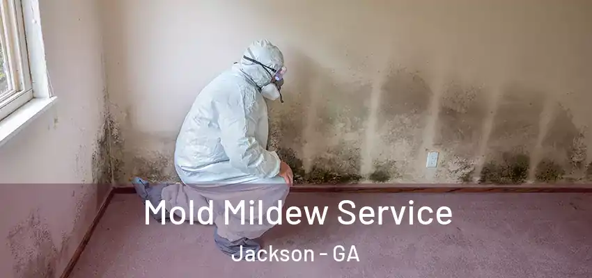 Mold Mildew Service Jackson - GA