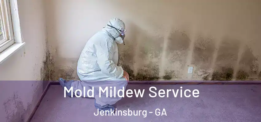  Mold Mildew Service Jenkinsburg - GA