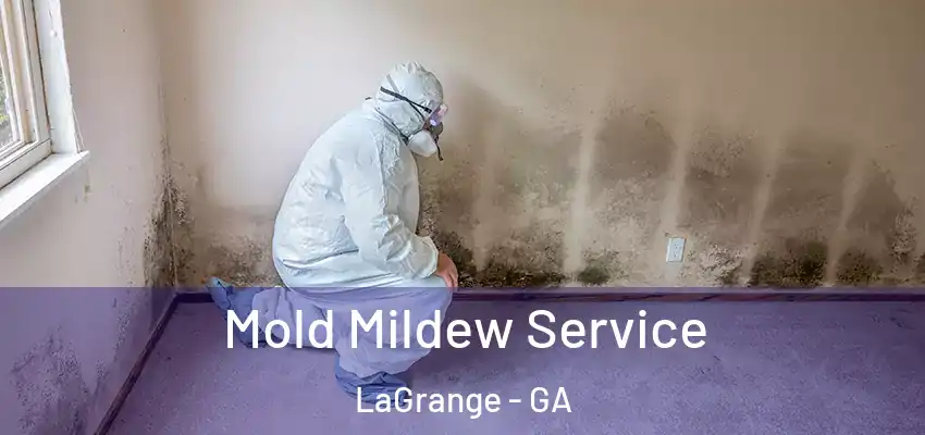 Mold Mildew Service LaGrange - GA