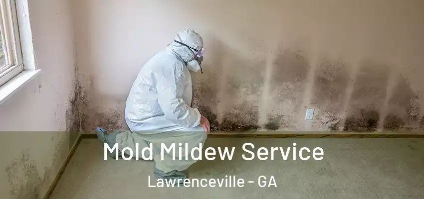 Mold Mildew Service Lawrenceville - GA