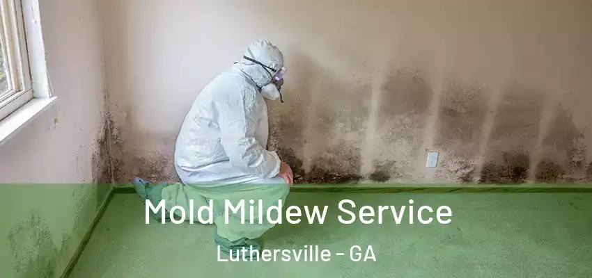 Mold Mildew Service Luthersville - GA