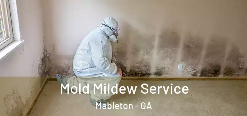 Mold Mildew Service Mableton - GA