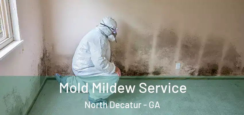 Mold Mildew Service North Decatur - GA