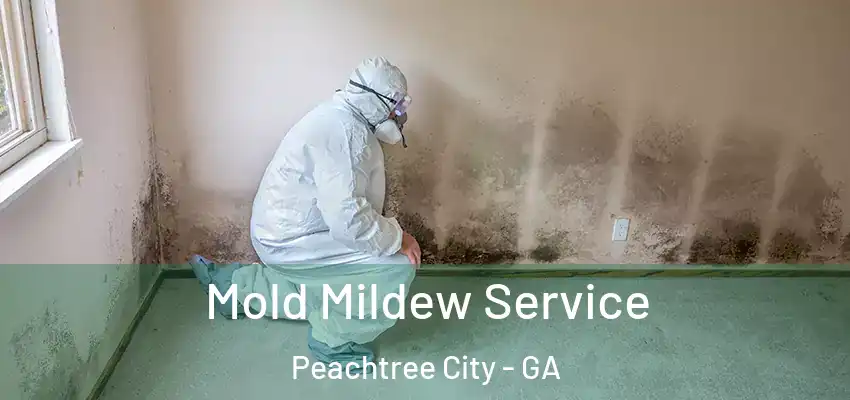  Mold Mildew Service Peachtree City - GA