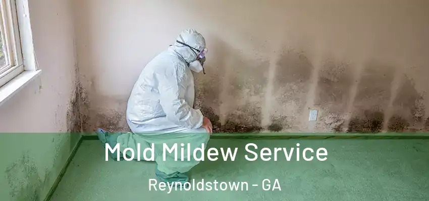 Mold Mildew Service Reynoldstown - GA