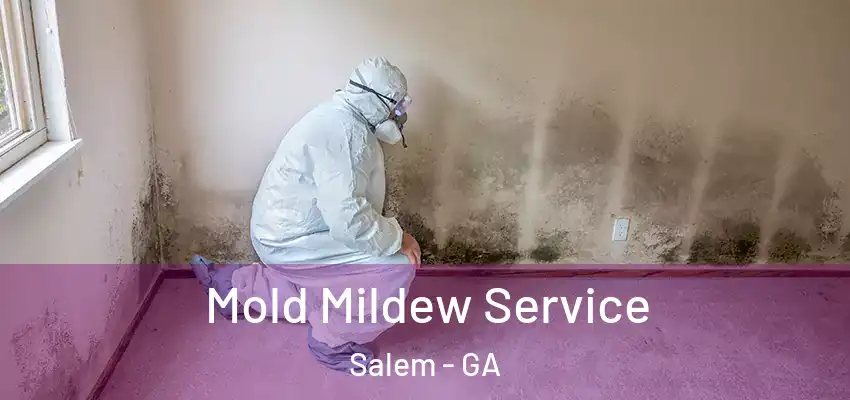 Mold Mildew Service Salem - GA