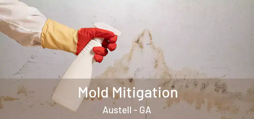 Mold Mitigation Austell - GA