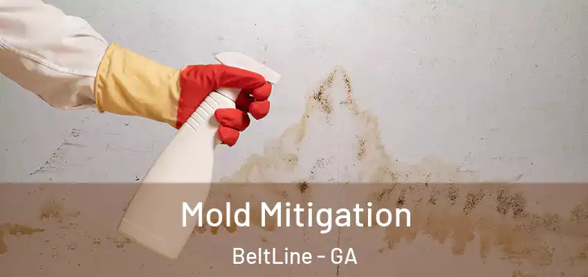 Mold Mitigation BeltLine - GA