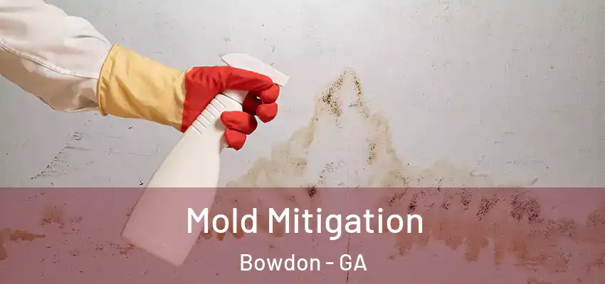 Mold Mitigation Bowdon - GA