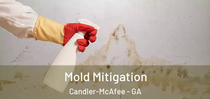 Mold Mitigation Candler-McAfee - GA