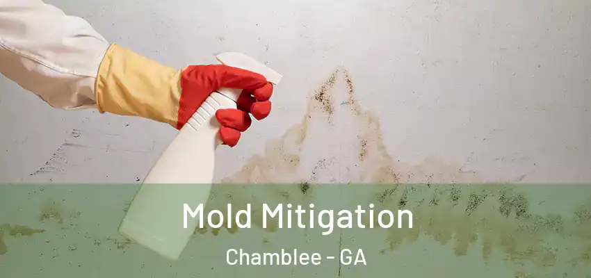 Mold Mitigation Chamblee - GA