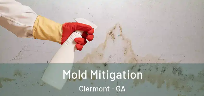 Mold Mitigation Clermont - GA