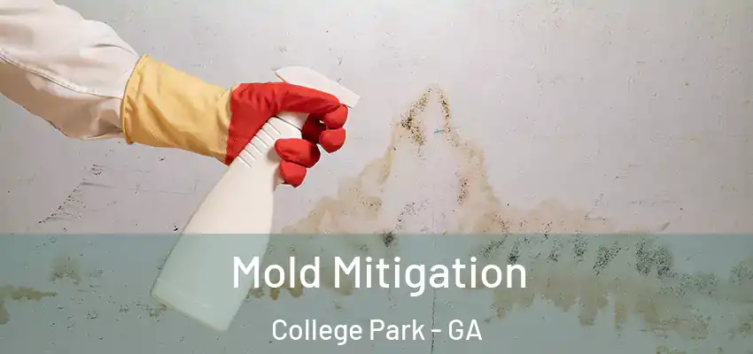 Mold Mitigation College Park - GA