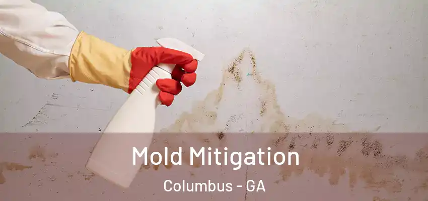 Mold Mitigation Columbus - GA