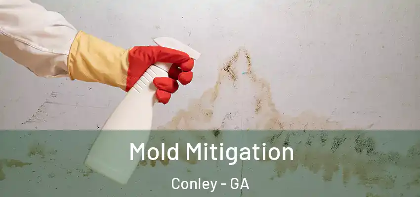 Mold Mitigation Conley - GA