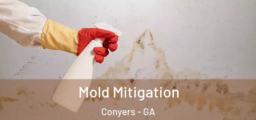Mold Mitigation Conyers - GA
