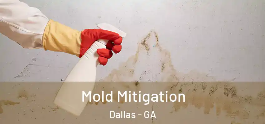 Mold Mitigation Dallas - GA