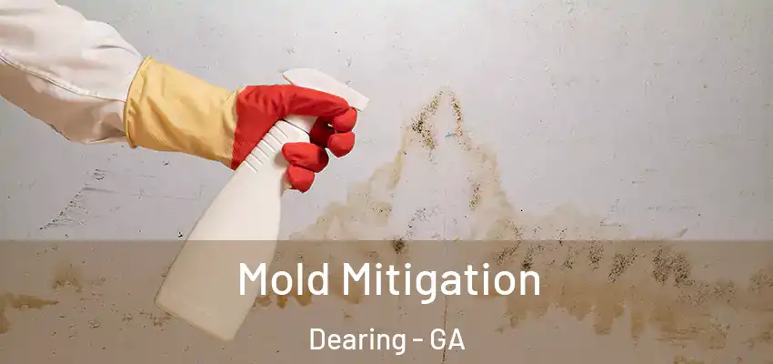 Mold Mitigation Dearing - GA