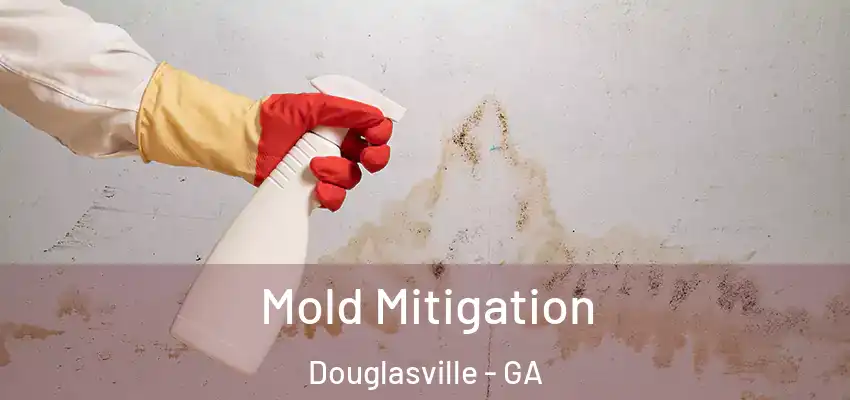 Mold Mitigation Douglasville - GA