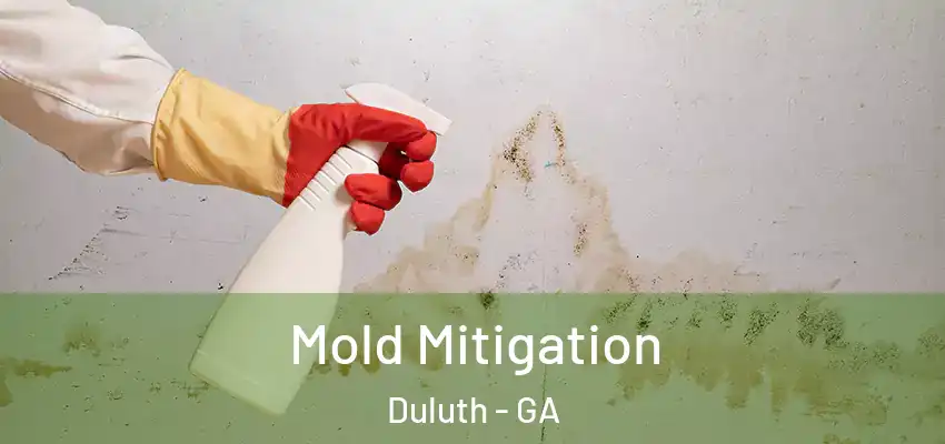 Mold Mitigation Duluth - GA