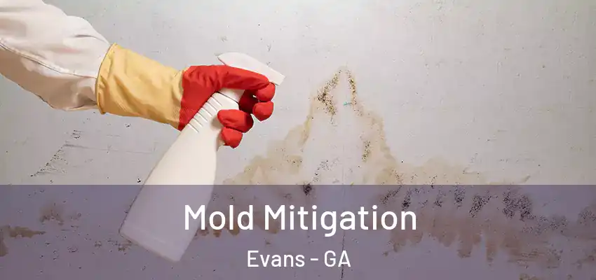Mold Mitigation Evans - GA