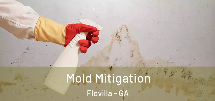 Mold Mitigation Flovilla - GA