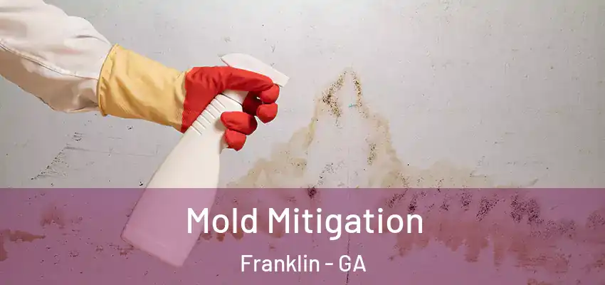Mold Mitigation Franklin - GA