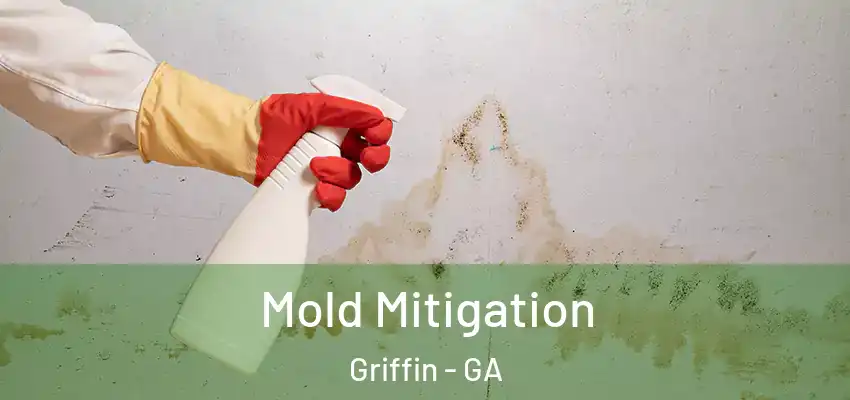 Mold Mitigation Griffin - GA